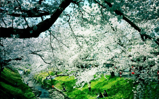 699490 (a): :1920x1200